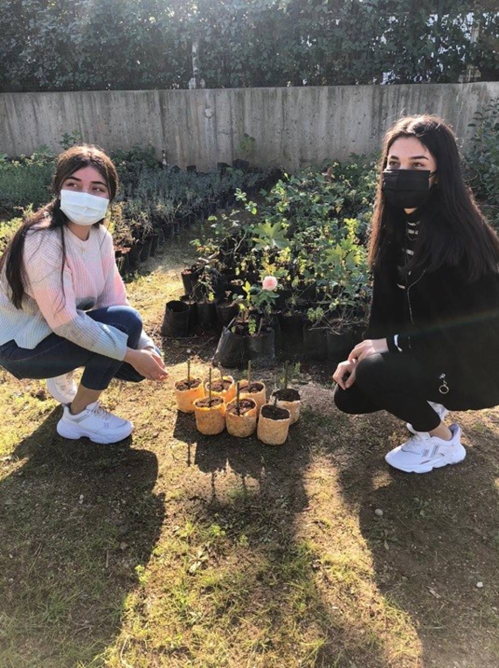 Çukurova Üniversiteli Öğrenciler Doğaya Zarar Vermeyen Organik Viyoller Yetiştirdi
