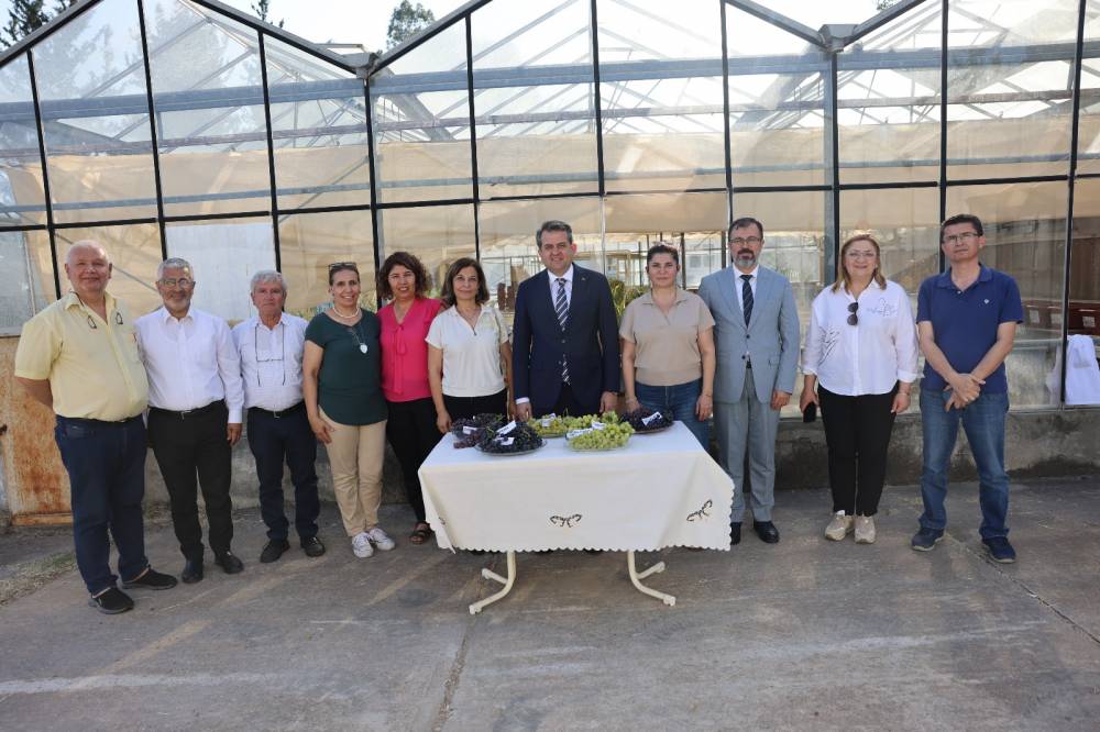 Çukurova Üniversitesinde Topraksız Kültürde Üzüm ve Maviyemiş Hasadı Gerçekleştirildi